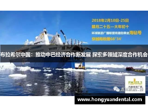 布拉希尔中国：推动中巴经济合作新发展 探索多领域深度合作机会