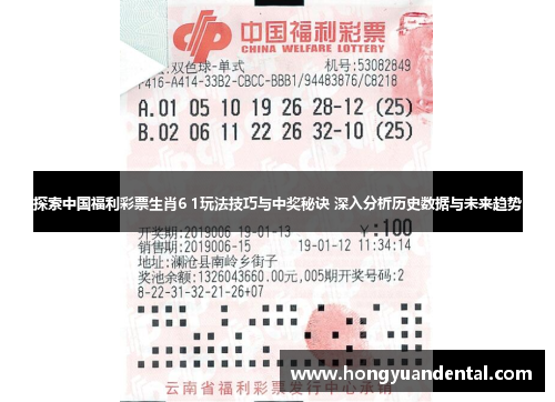 探索中国福利彩票生肖6 1玩法技巧与中奖秘诀 深入分析历史数据与未来趋势
