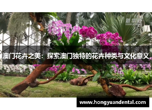 澳门花卉之美：探索澳门独特的花卉种类与文化意义