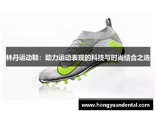 林丹运动鞋：助力运动表现的科技与时尚结合之选