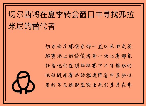 切尔西将在夏季转会窗口中寻找弗拉米尼的替代者